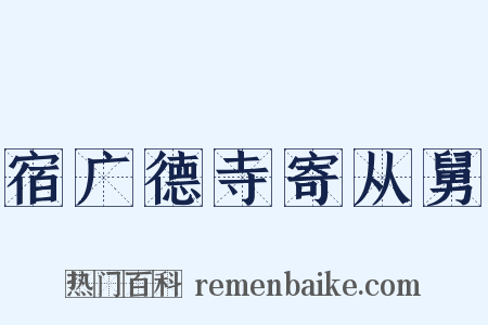 宿广德寺寄从舅是什么意思的图片